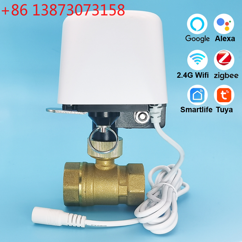 Smart Garden Home Assistant - Katup Air Tuya Zigbee Wifi 1/2
