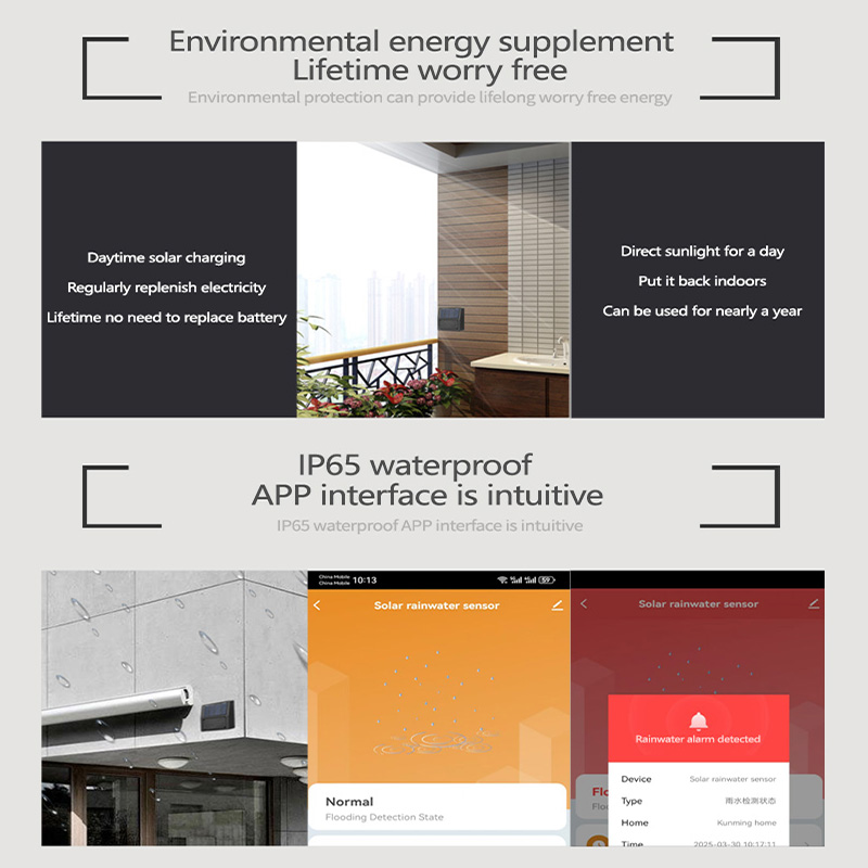 Tuya Zigbee Sensor Hujan Perin - Smart Garden Home Assistant ulasan dan harga