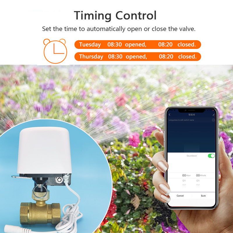 Katup Air Tuya Zigbee Wifi 1/2 - Smart Garden Home Assistant ulasan dan harga