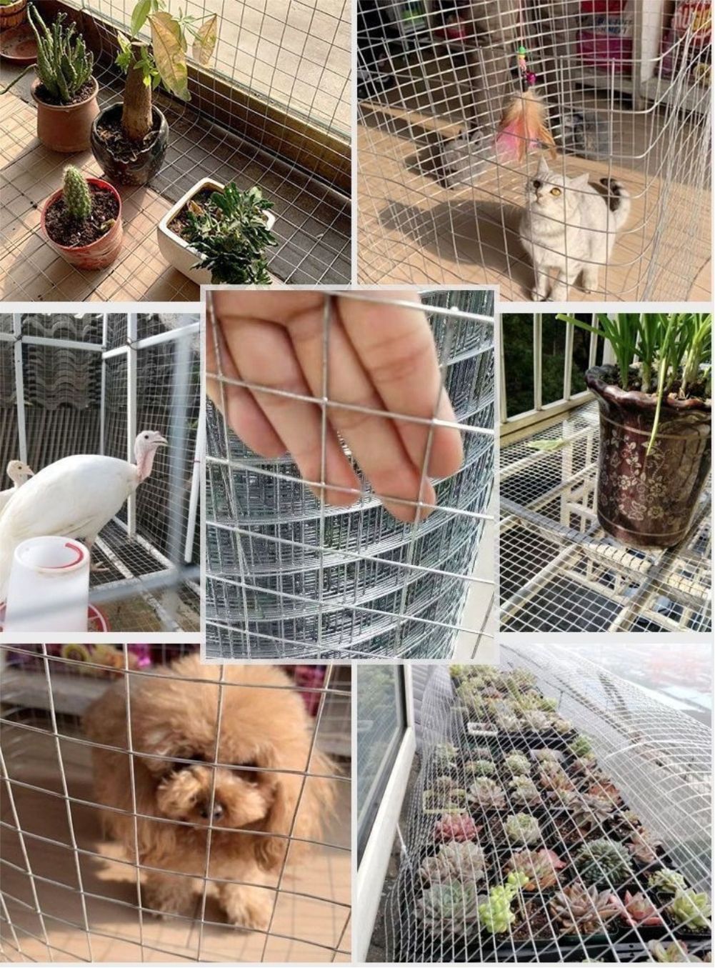 Hot Dip Galvanis Breeding Weld - Smart Garden Fence ulasan dan harga