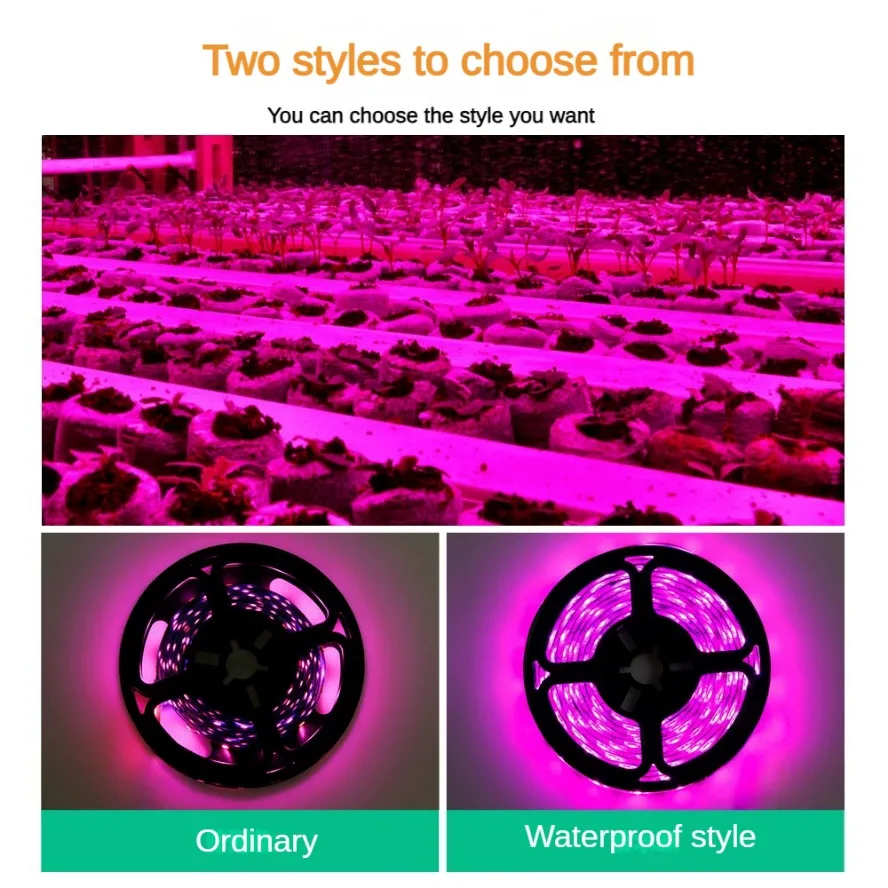 Dengan Sakelar Dapat Diredupka - Led Plant Light Strip ulasan dan harga