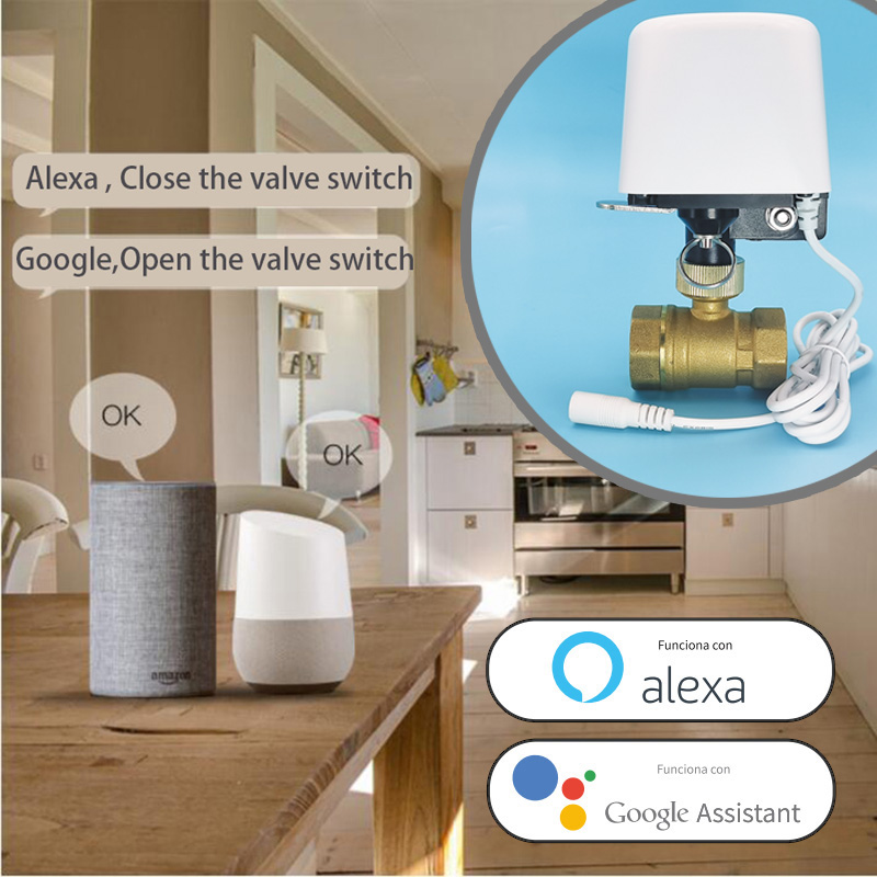 Katup Air Wifi Zigbee Tuya Pen - Smart Garden Home Assistant ulasan dan harga
