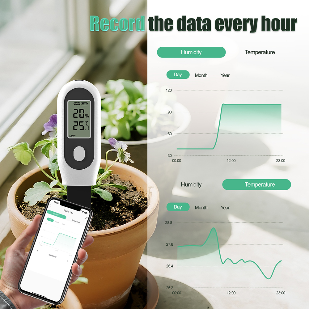 Tuya Zigbee 3 in 1 Pengukur Su - Smart Garden Home Assistant ulasan dan harga