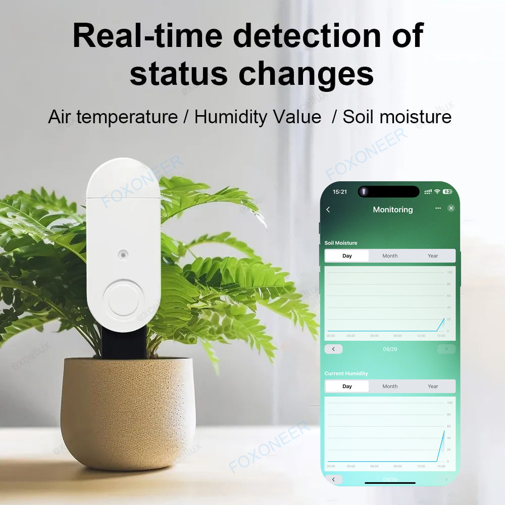 Zigbee 3.0 Penguji Tanah Pinta - Smart Garden Home Assistant ulasan dan harga